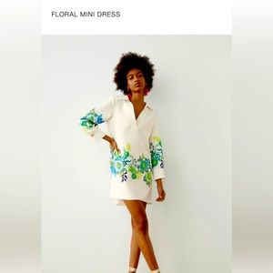 Cute Zara dress. Worn once